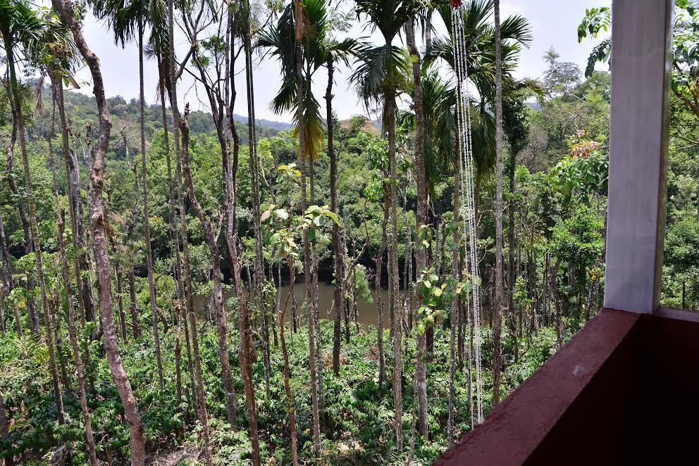 River Near Coorg Jambur ภายนอก รูปภาพ