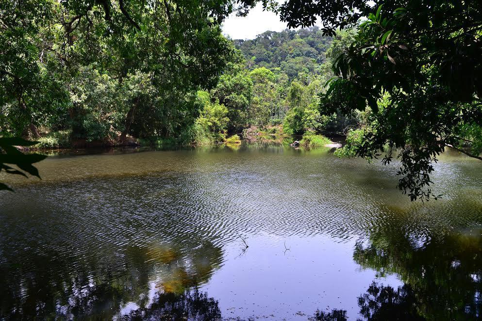 River Near Coorg Jambur ภายนอก รูปภาพ